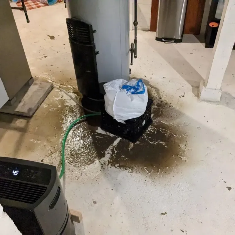 Sewage Backup Cleanup Service in Natick, MA